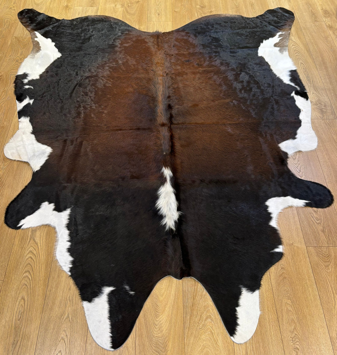 Cow Hide Rug 