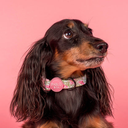 Flora &amp; Fern: Dog Collar
