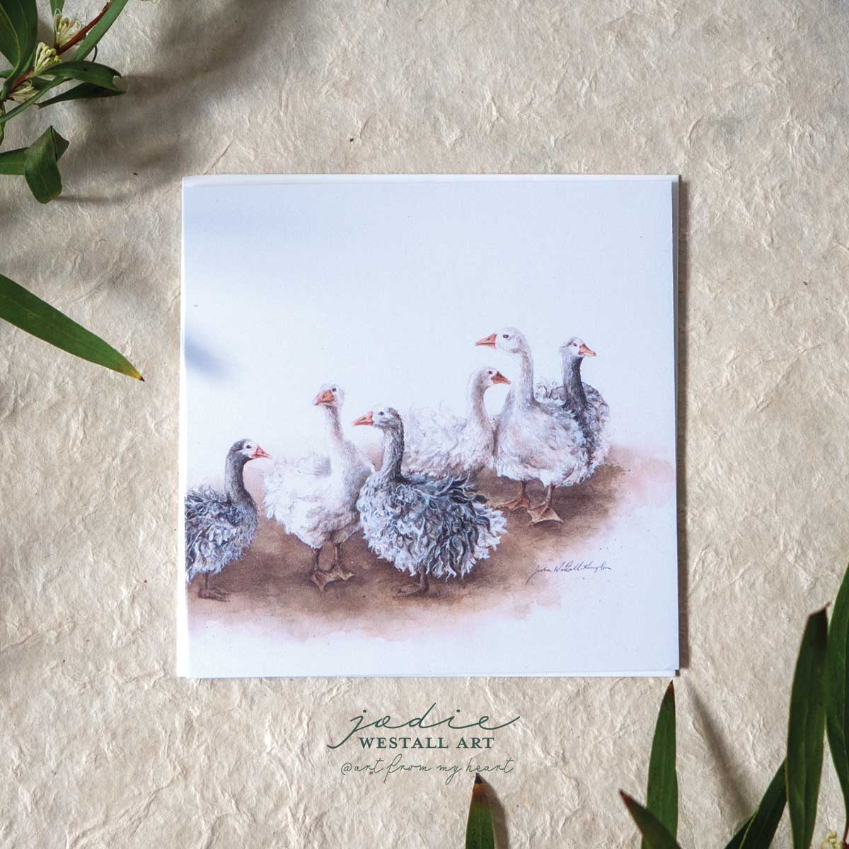 ‘Afternoon Gaggle’ Sebastapol Geese - Greeting Card