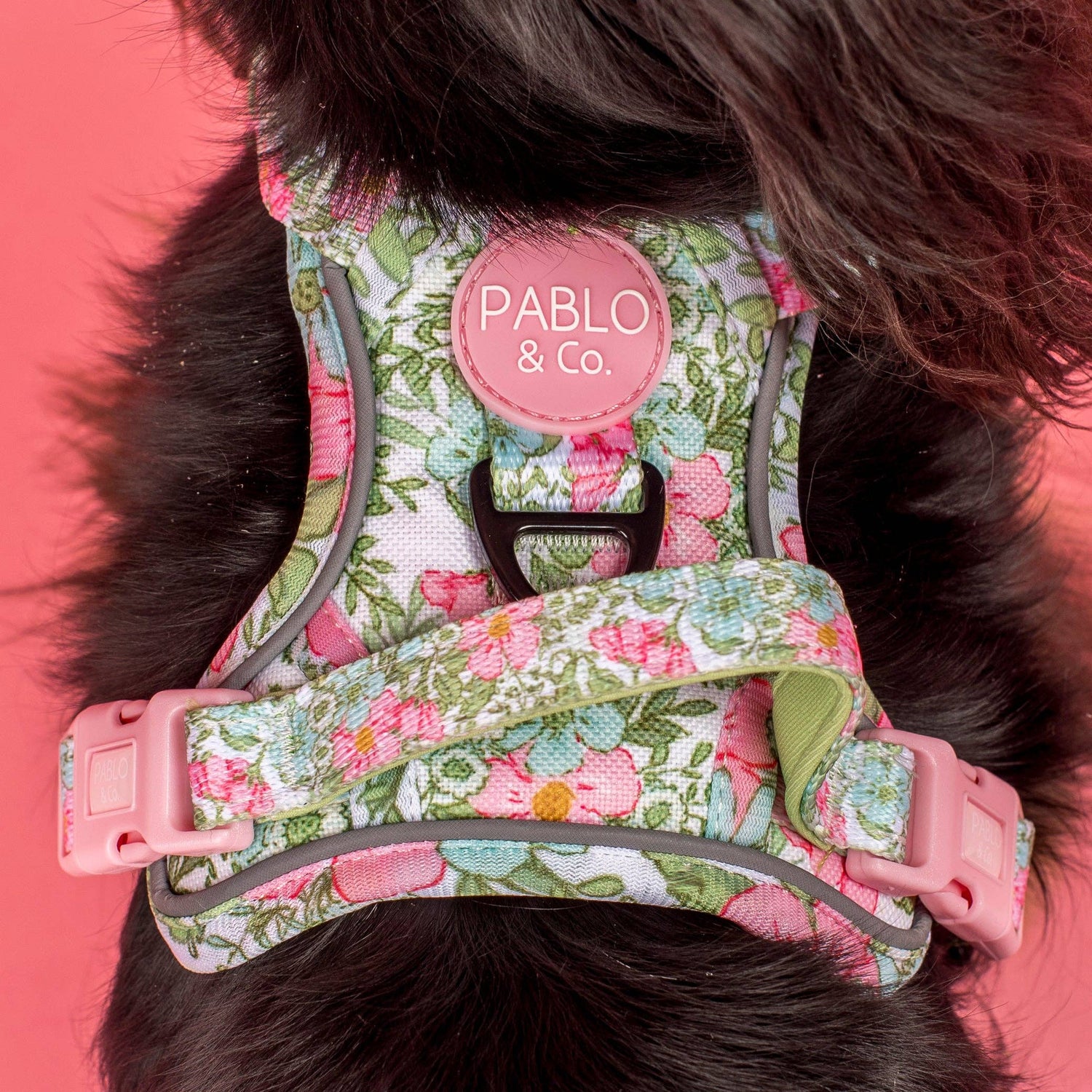 Flora &amp; Fern: No Pull Dog Adventure Harness