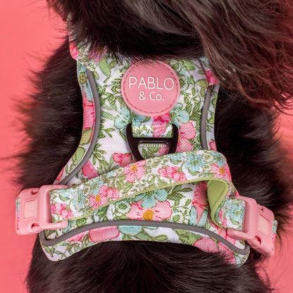 Flora &amp; Fern: No Pull Dog Adventure Harness