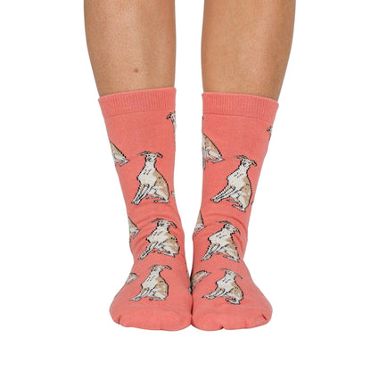 Dog Breed Socks