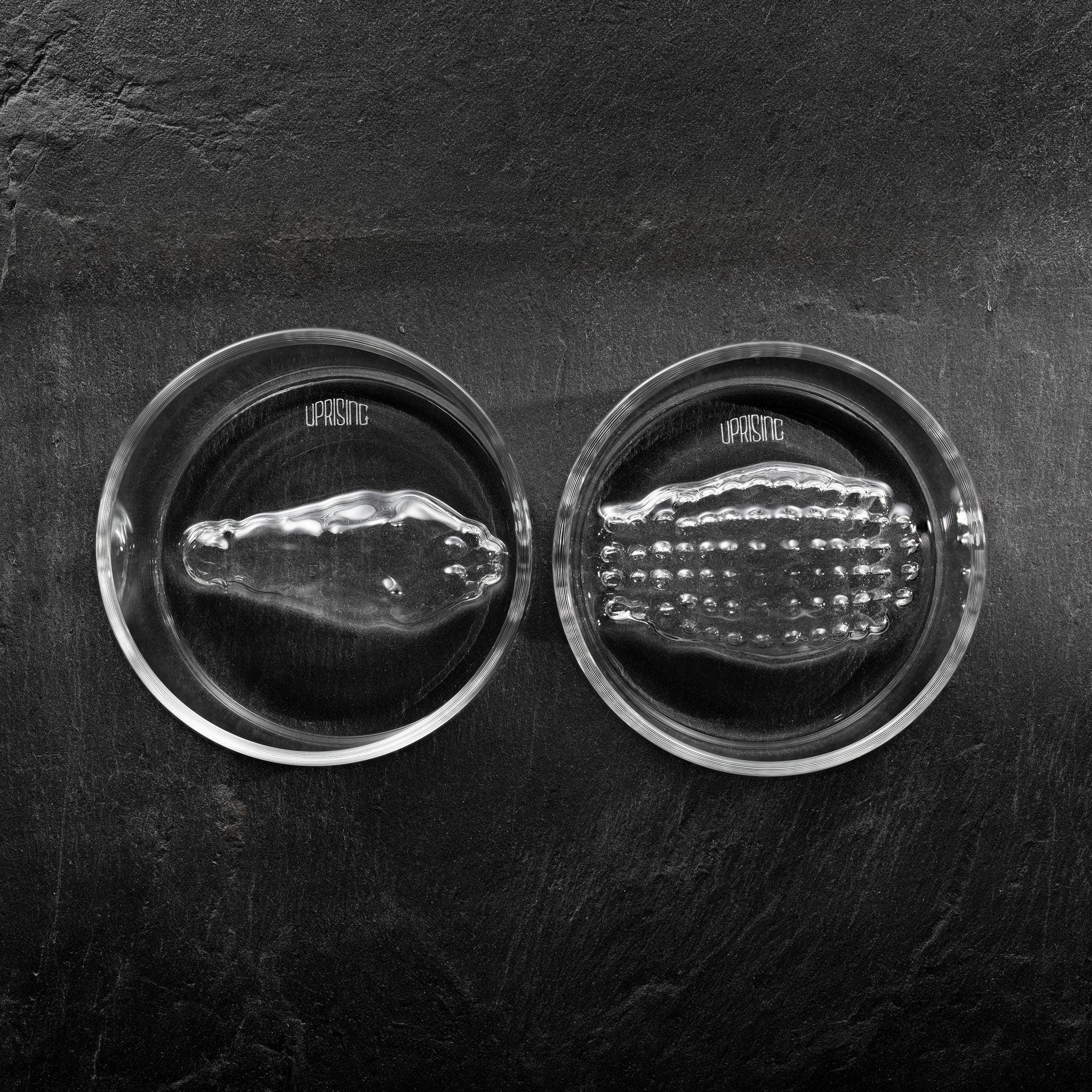 Saltwater Crocodile - Old Fashioned Glasses Twin Set