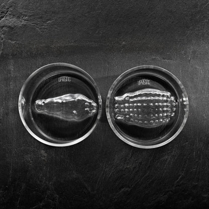 Saltwater Crocodile - Old Fashioned Glasses Twin Set