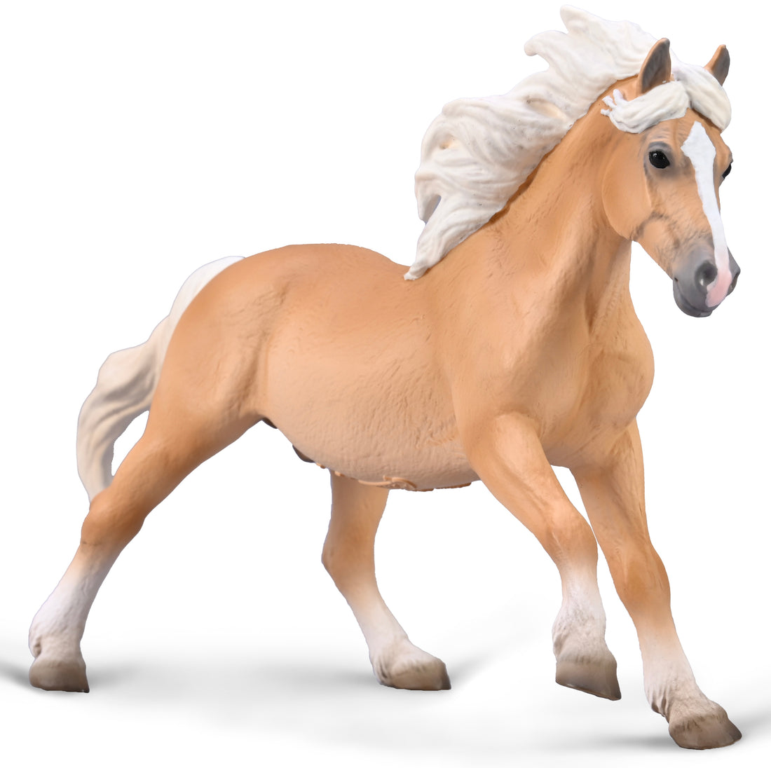 Haflinger Stallion (XL)