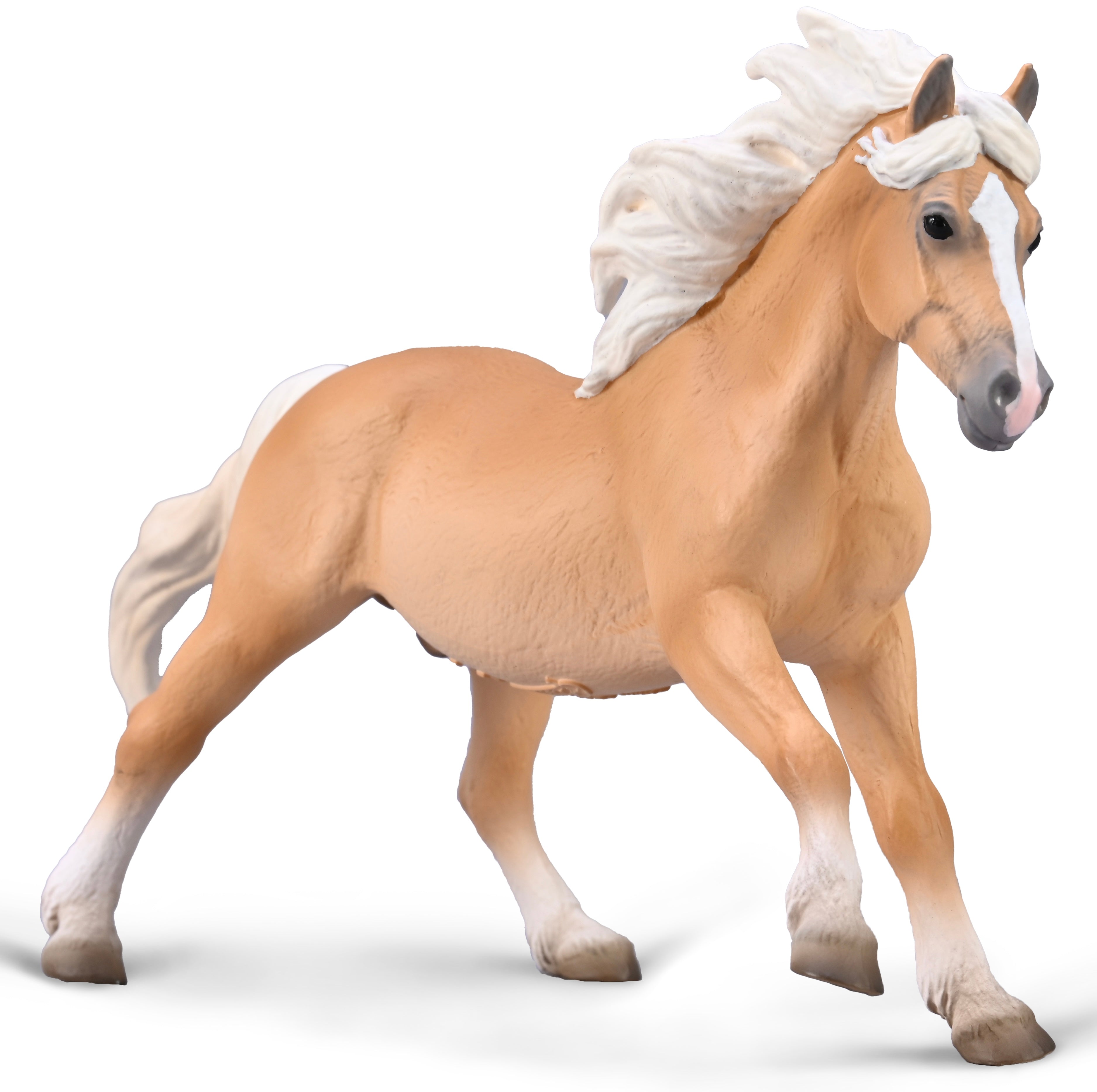 Haflinger Stallion (XL)