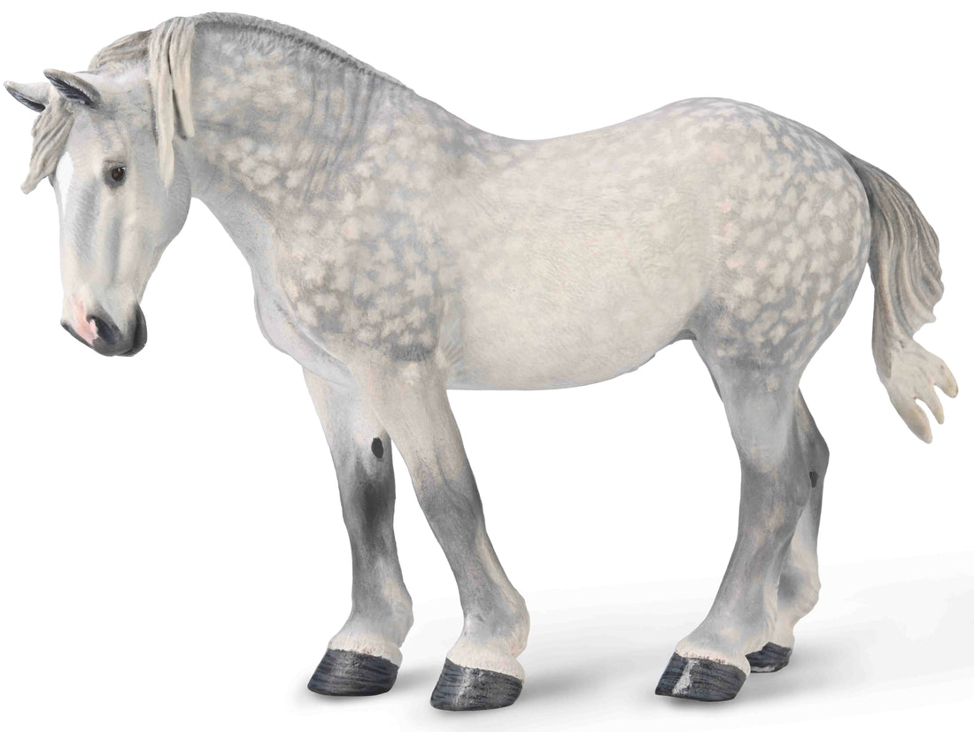 Percheron Mare Dapple Grey (XL)