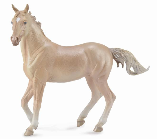 Akhal- Teke Mare- Perlino