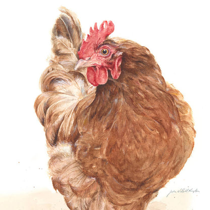 Chook Bessie Struts her Stuff- Greeting Card