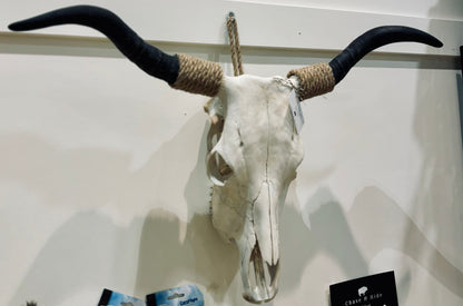 Bullocks Skull Decor