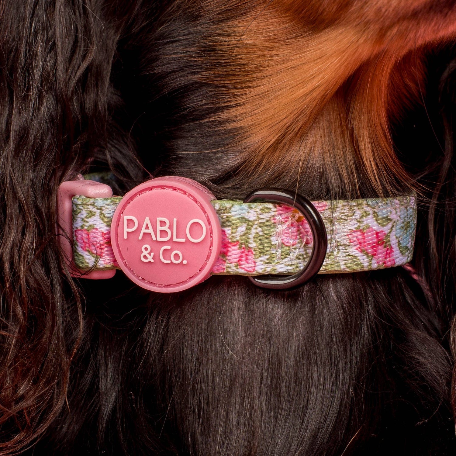Flora &amp; Fern: Dog Collar