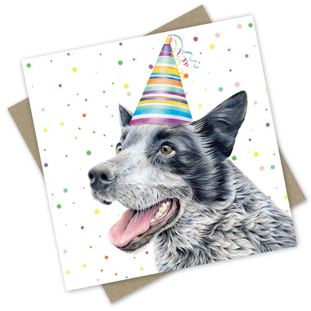 Birthday card: Blue Heeler