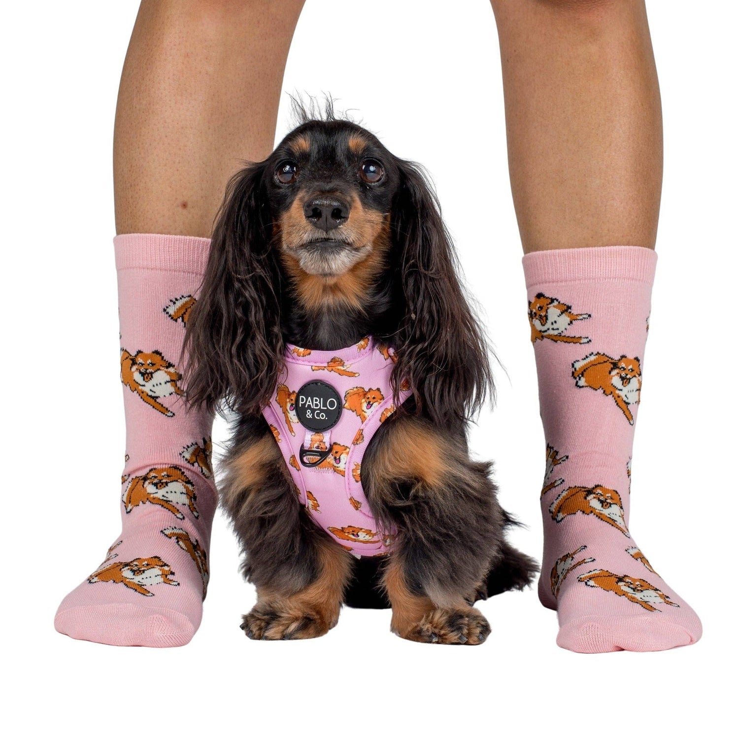 Dog Breed Socks