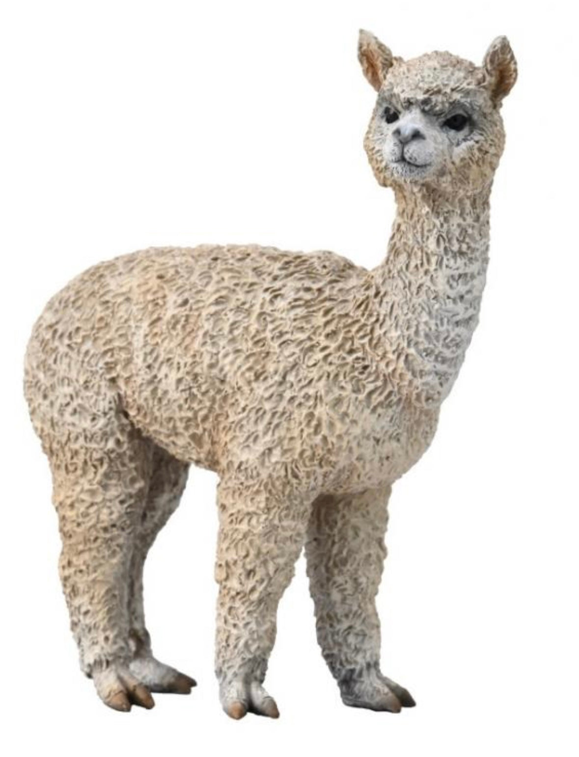 Alpaca