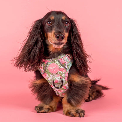 Flora &amp; Fern: No Pull Dog Adventure Harness