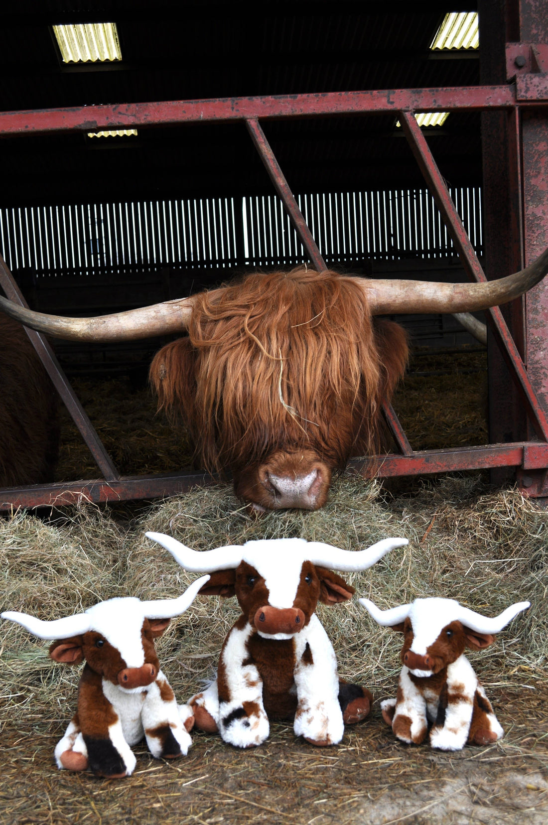Texas Longhorn Highland Cream Brown Cow Plush Toy 18cm Lo