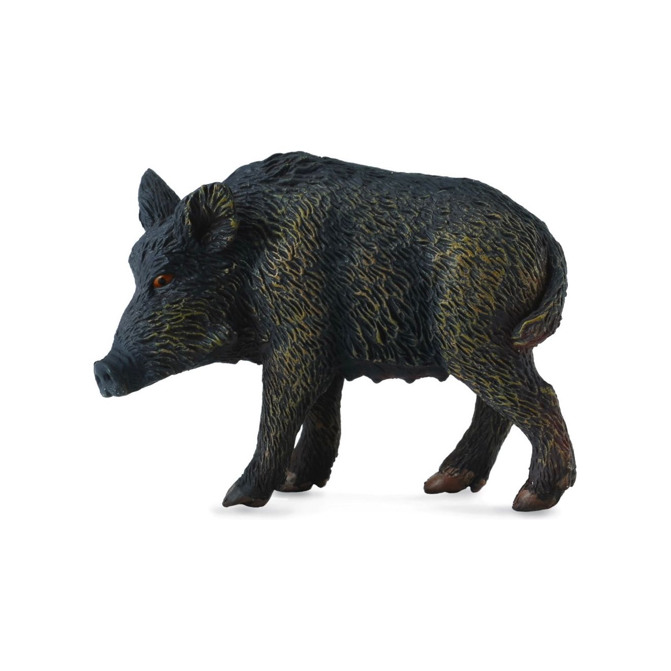 Wild Sow Pig