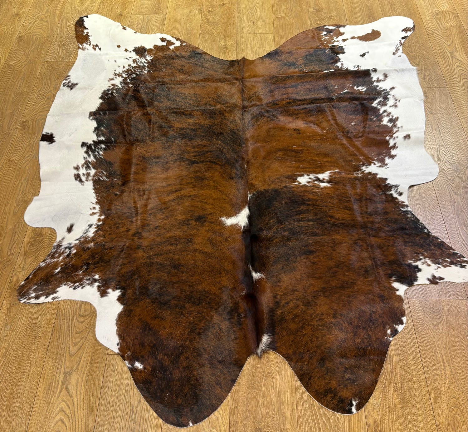 Hold ;  Cow Hide Rug 