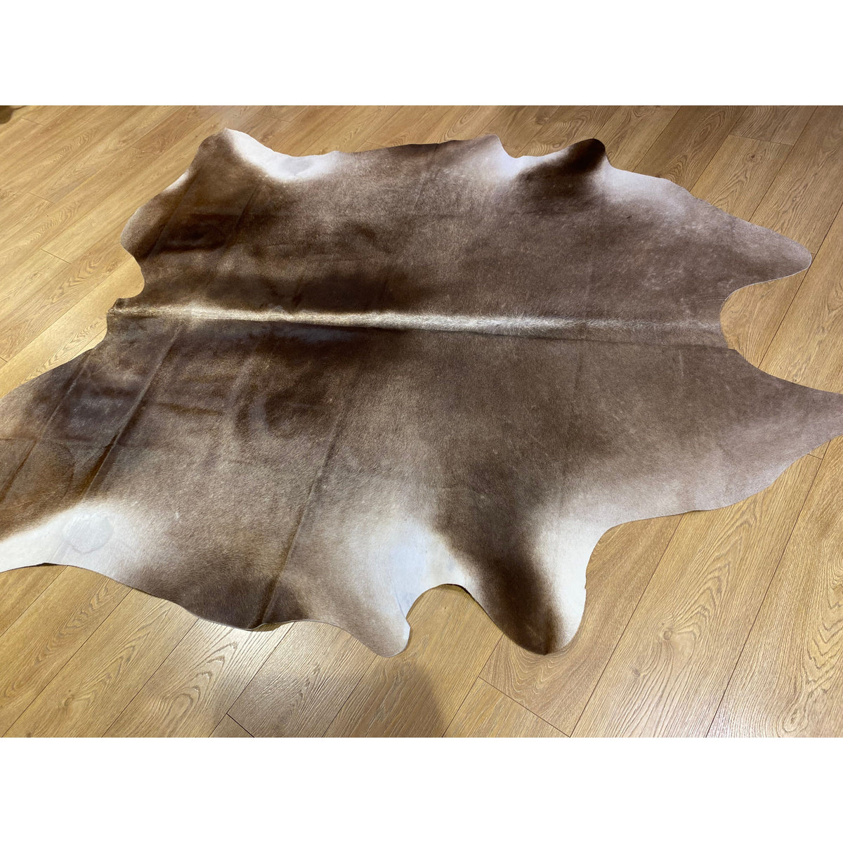 Cow Hide Rug 