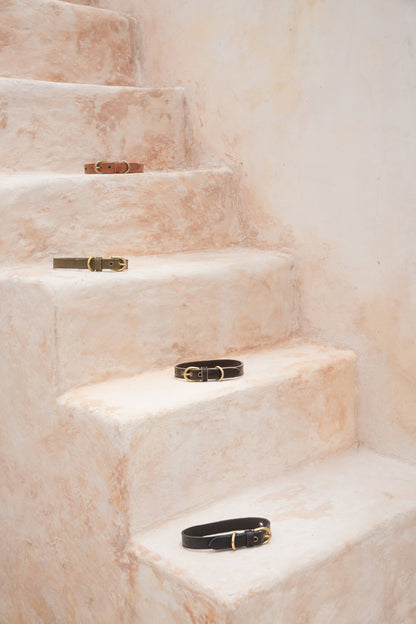 Dog Collar // Chestnut Antq