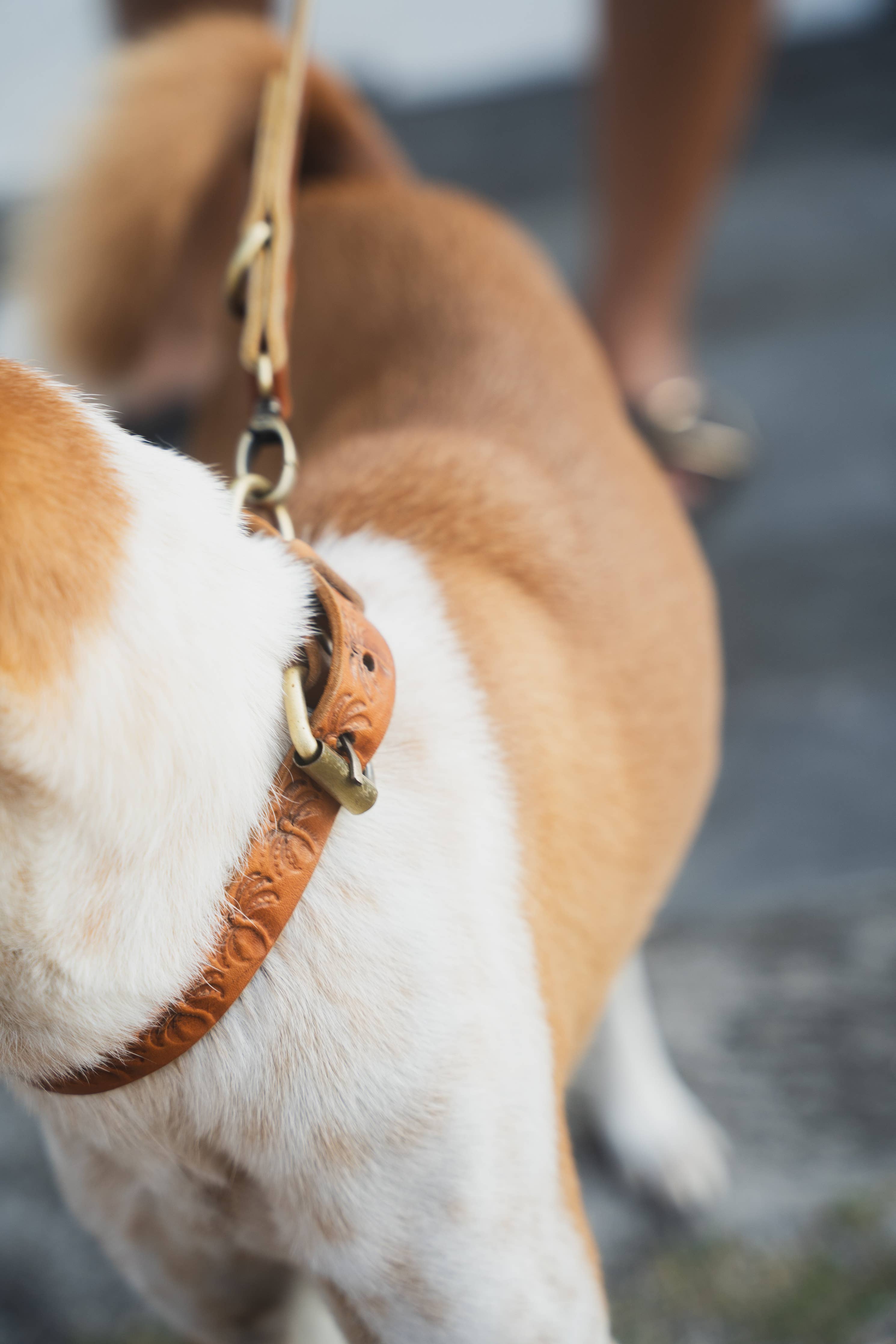 Island Collar // Palms Vintage Tan