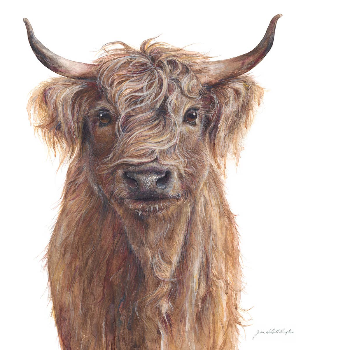 ‘Hamish’ Highland Cow - Greeting Card