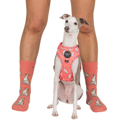 Dog Breed Socks