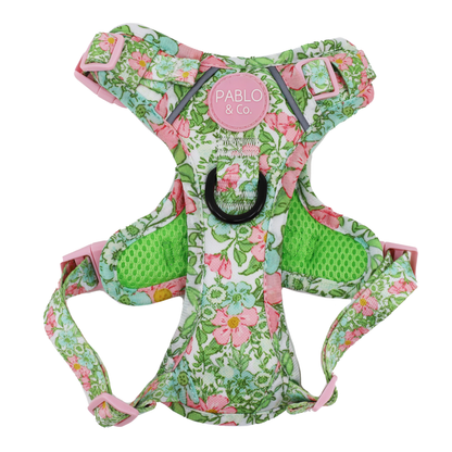Flora &amp; Fern: No Pull Dog Adventure Harness