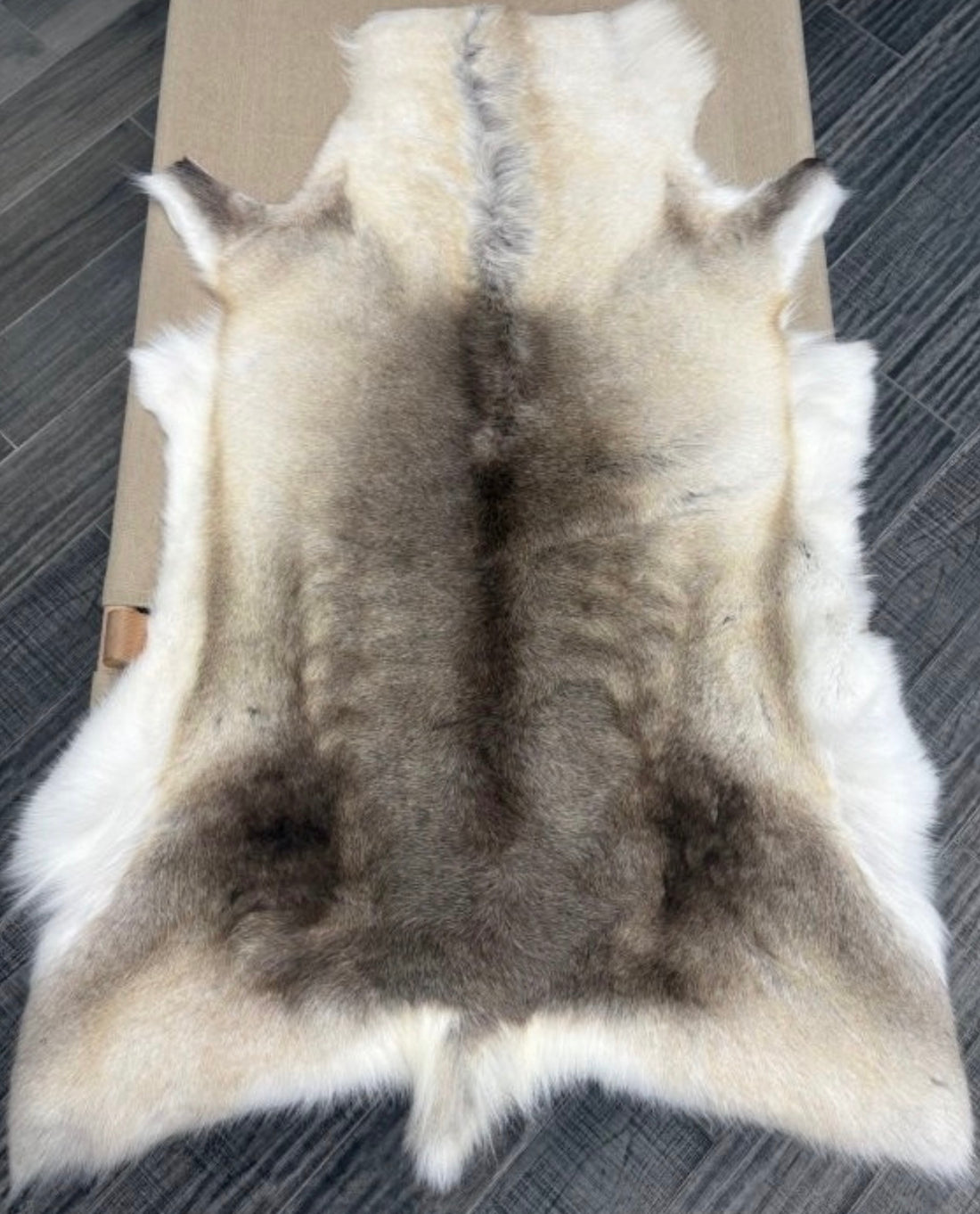 Reindeer Hide 