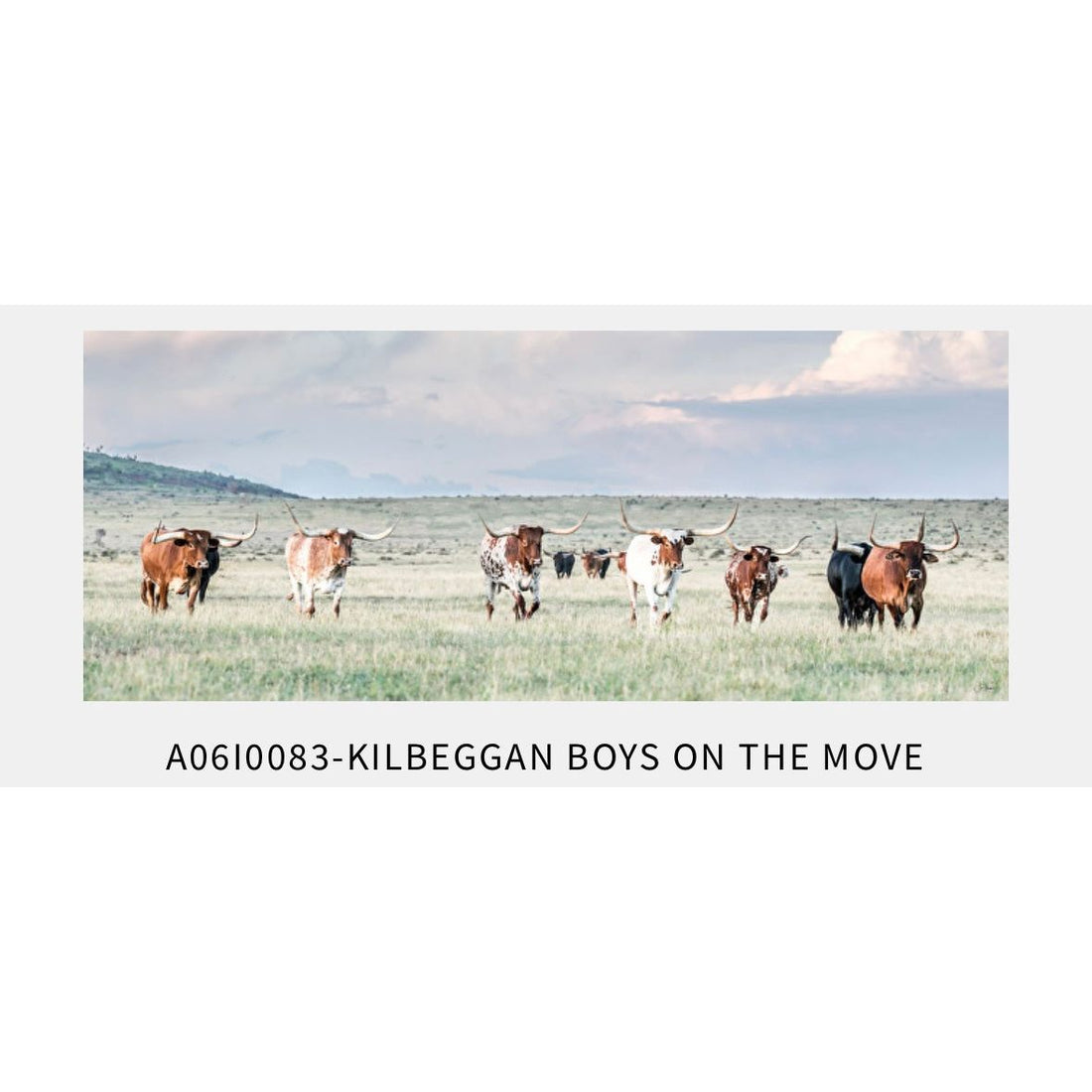‘Kilbeggan Boys on the Move’