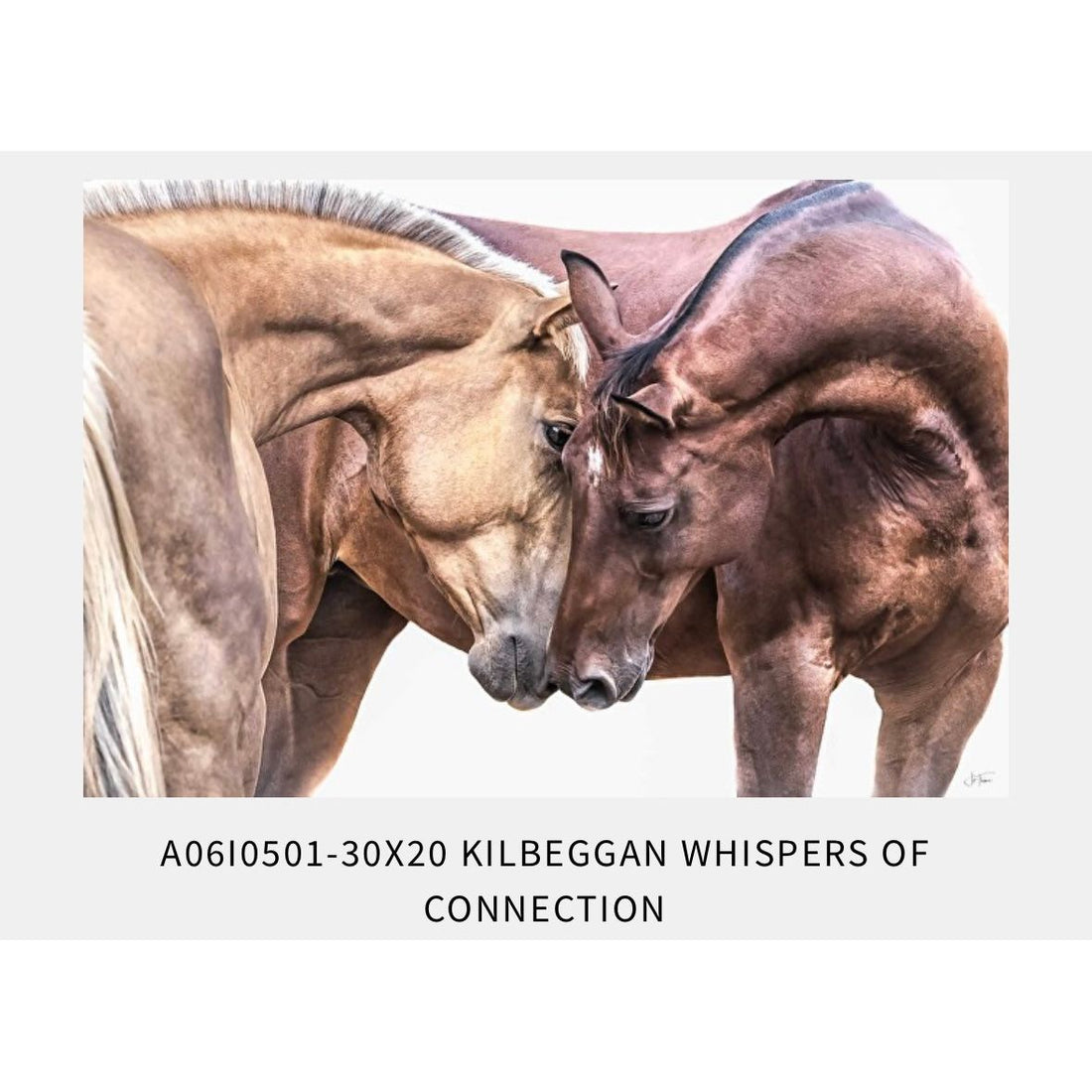 ‘Kilbeggan Whispers of connection’
