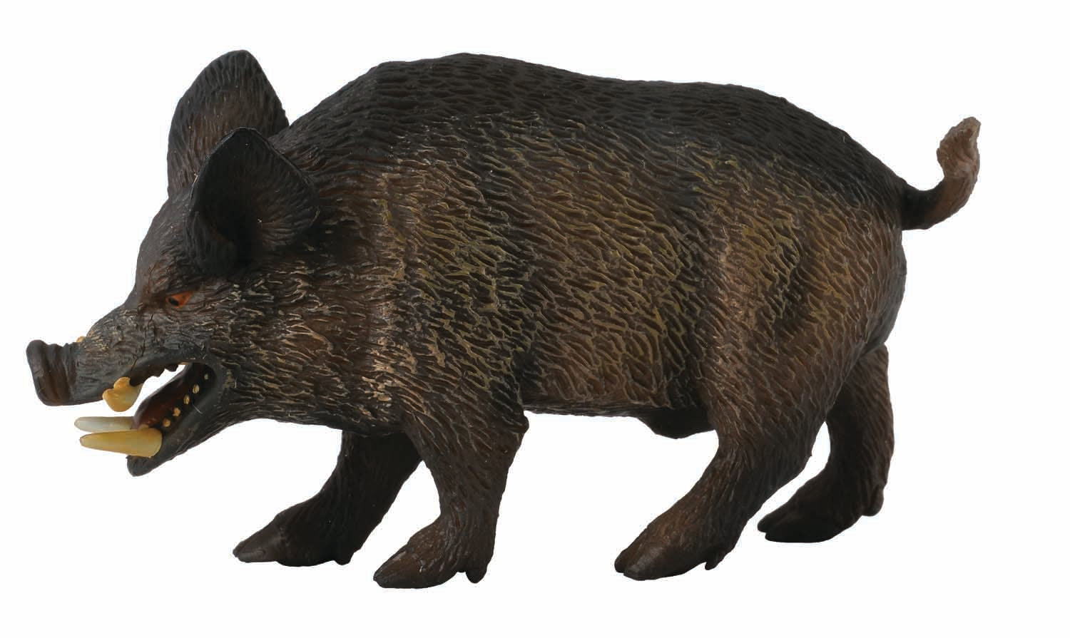 Wild Boar