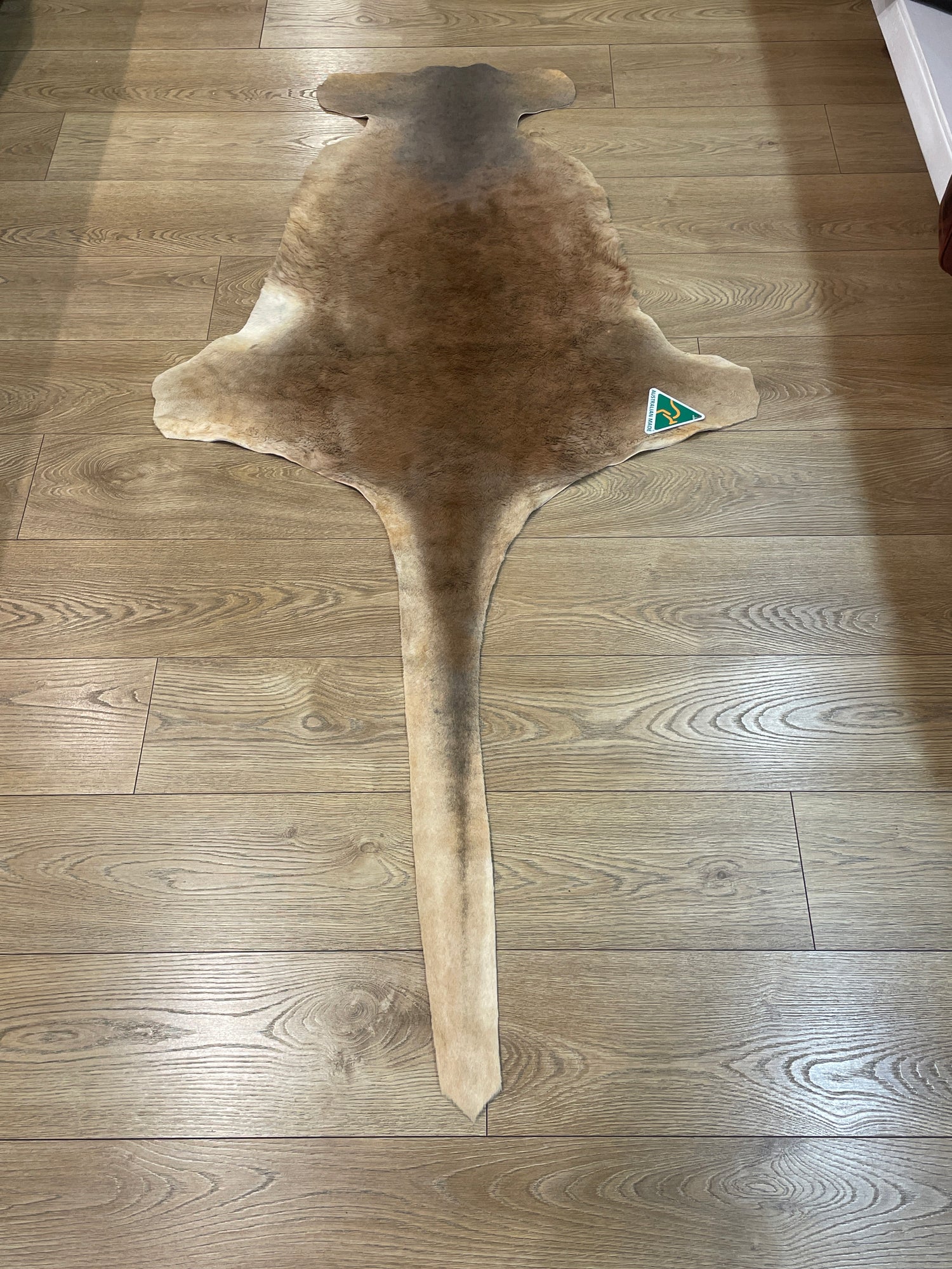 Australian Kangaroo Hide - Large (100cm plus tail )
