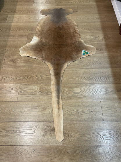 Australian Kangaroo Hide - Large (100cm plus tail )