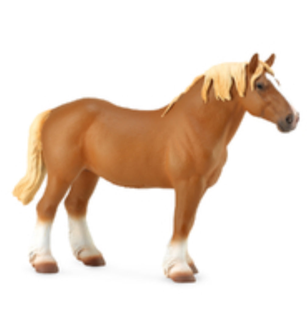 Belgian Mare - Chestnut