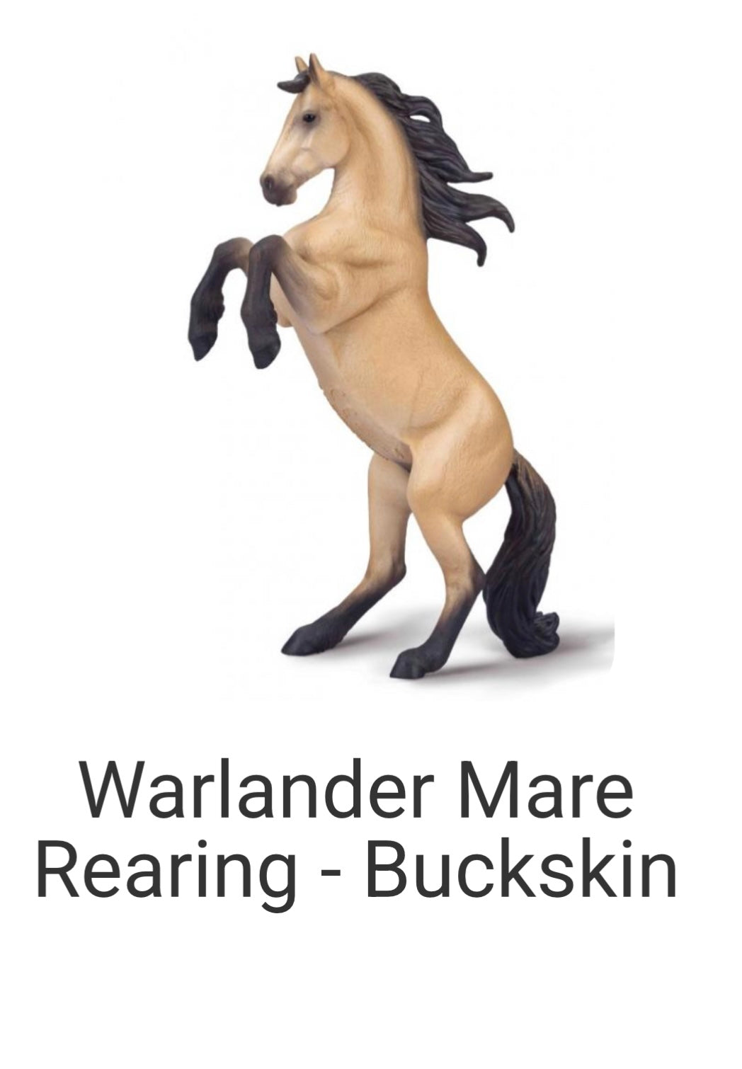 Warlander Mare Rearing- Buckskin (XL)