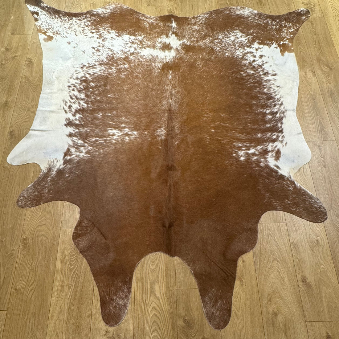 Cow Hide Rug 