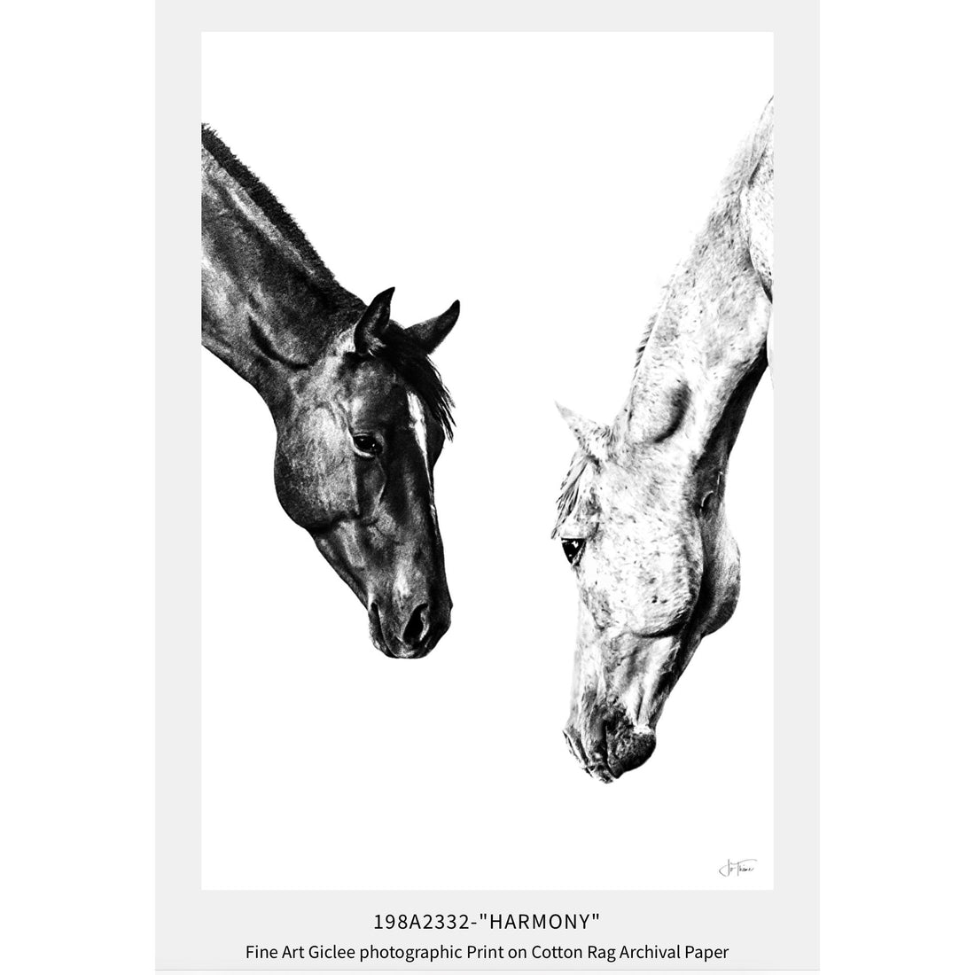 “Harmony” Sold Available to Order
