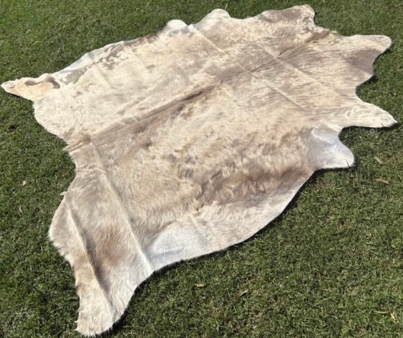 Cow Hide Rug 