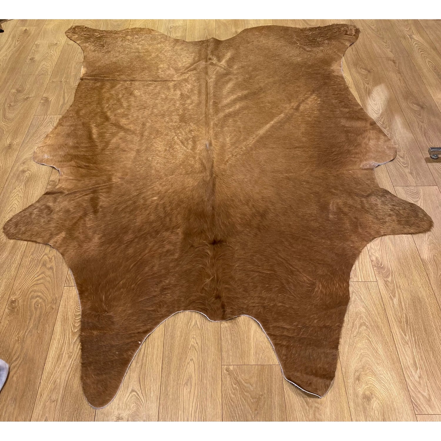 Cow Hide Rug 