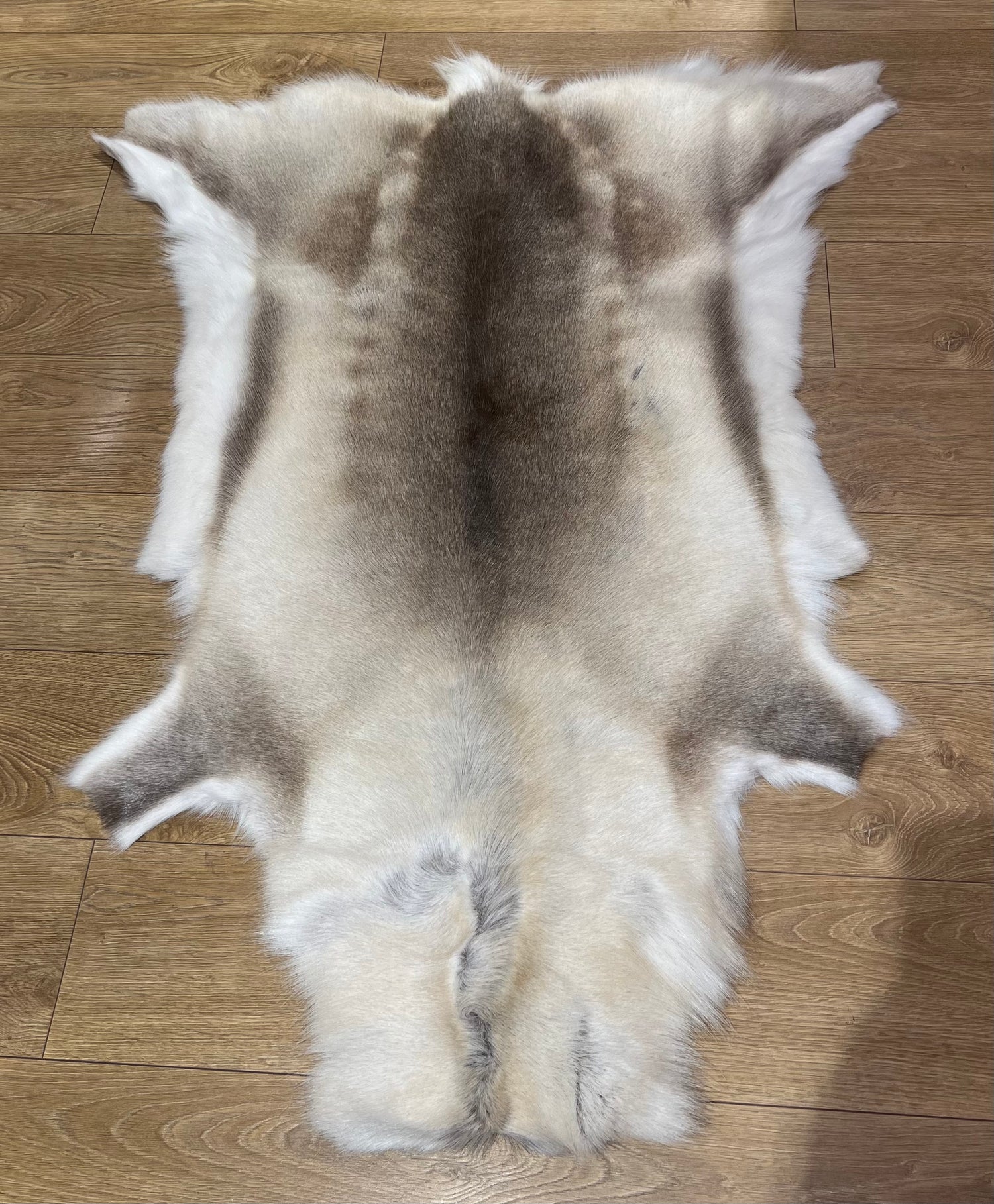 Reindeer Hide 