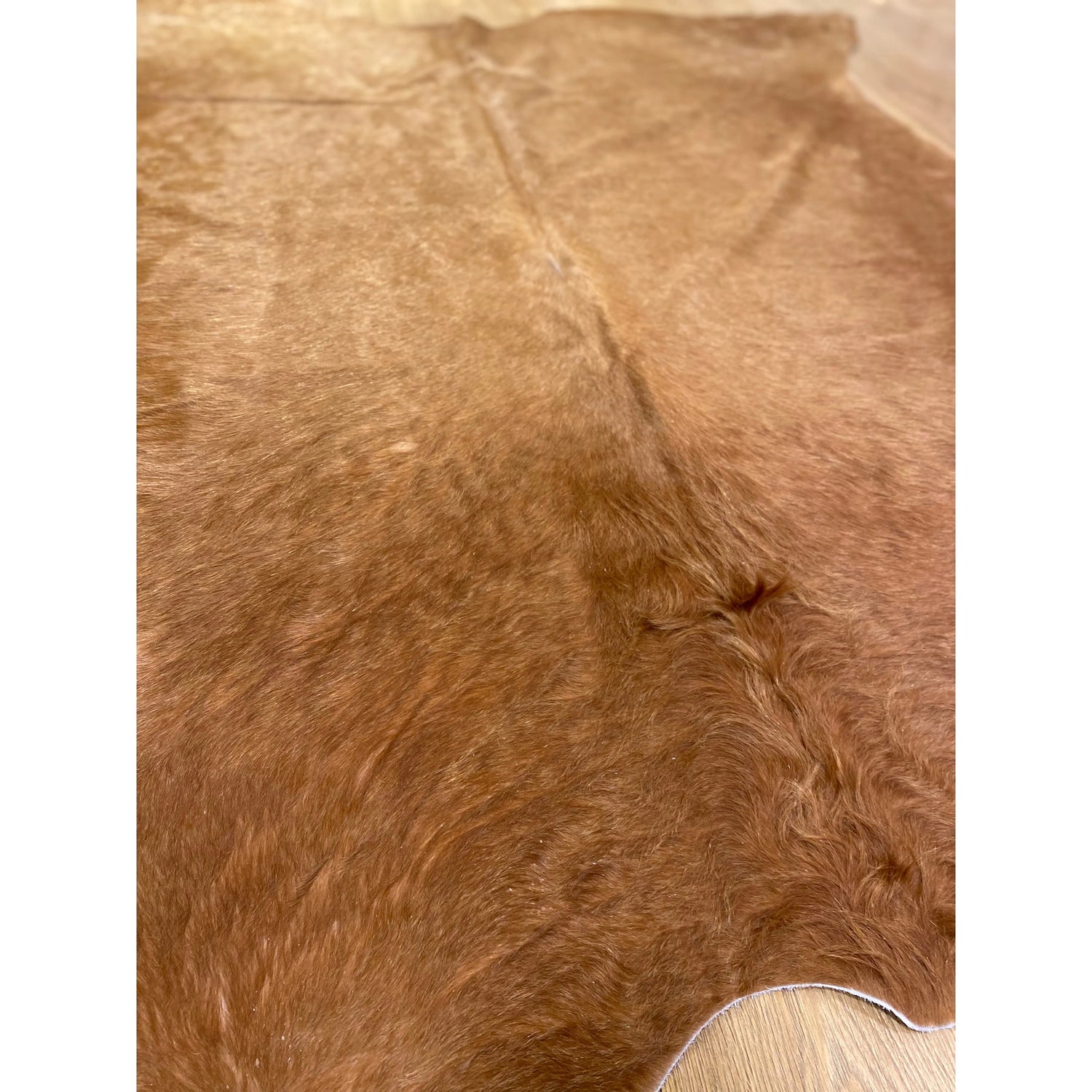 Cow Hide Rug 