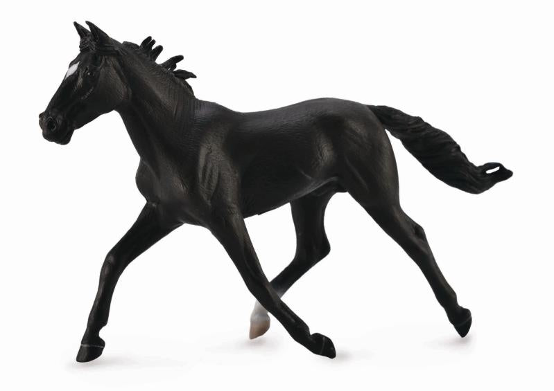 Standard pacer Stallion Black