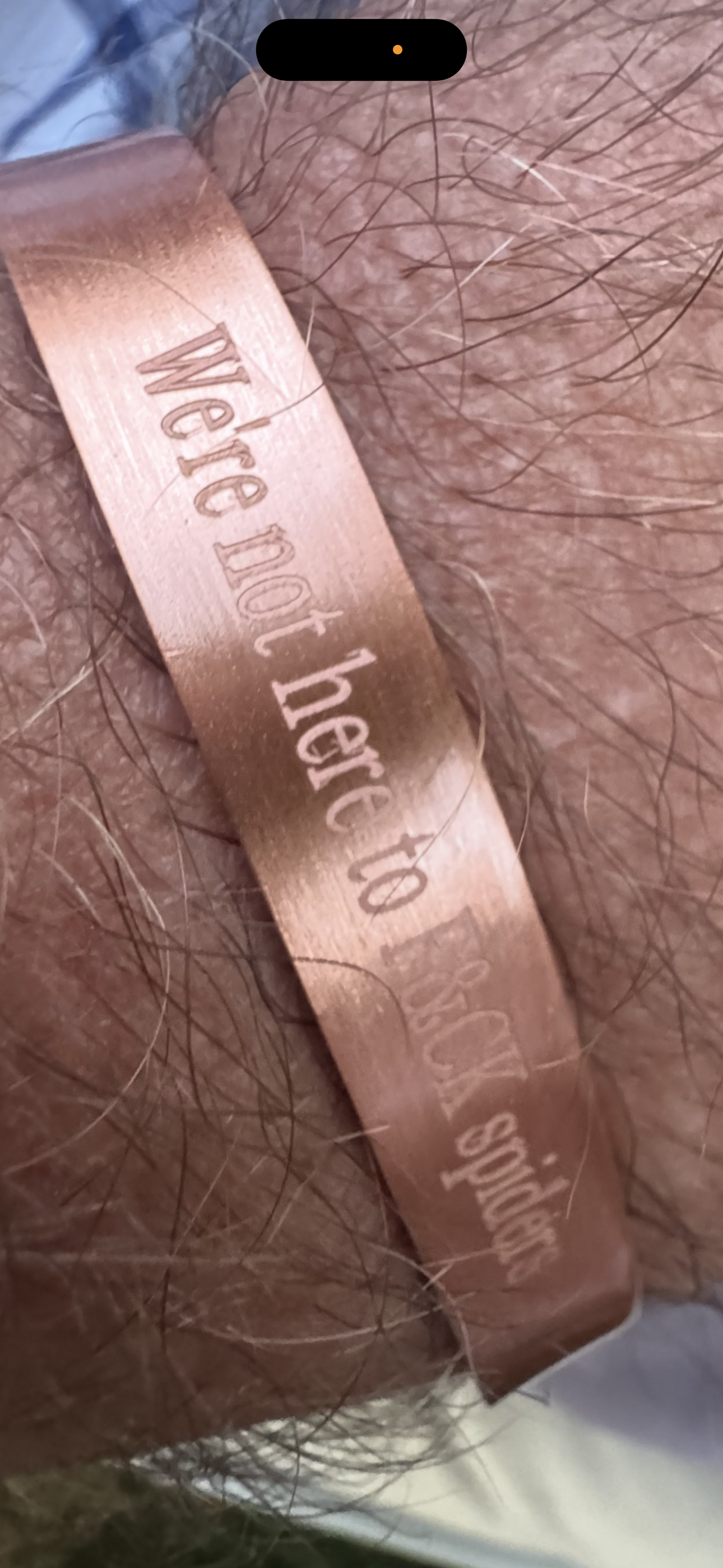 We’re not here to fu