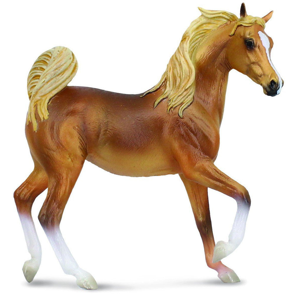 Arabian Mare Golden Chestnut
