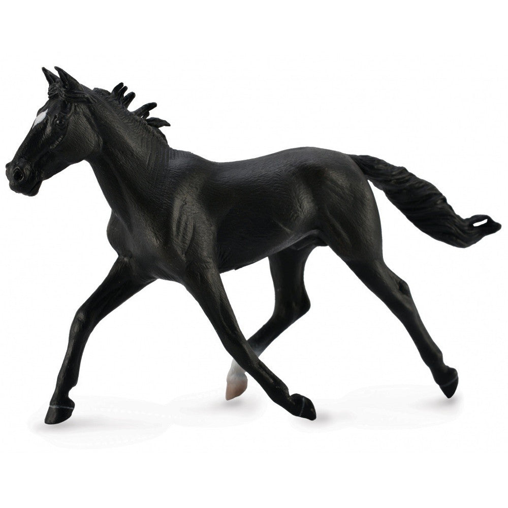 STDBRED PACER STALLION BLACK XL