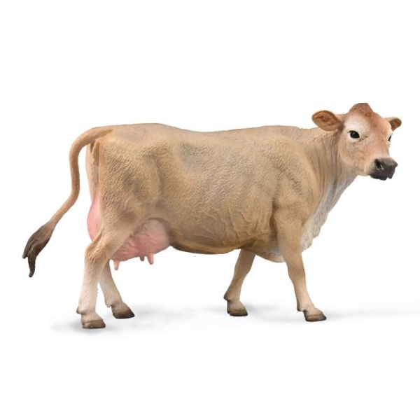 Jersey Cow