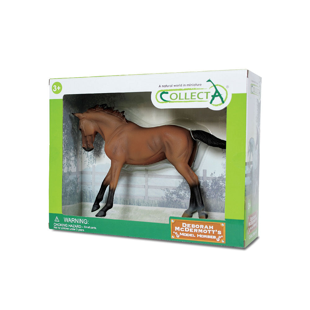 Thoroughbred Mare Bay (Delux Window Box)