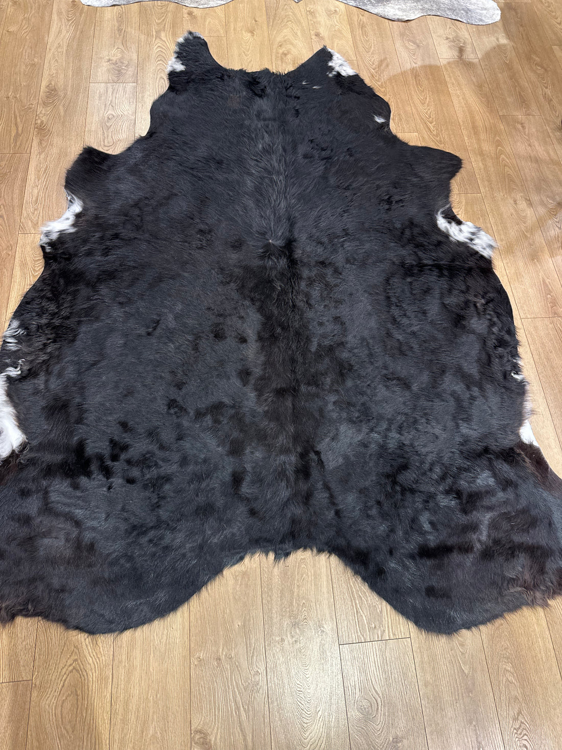 Cow Hide Rug