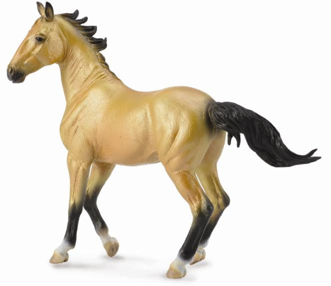 Akhal-teke Mare Buckskin